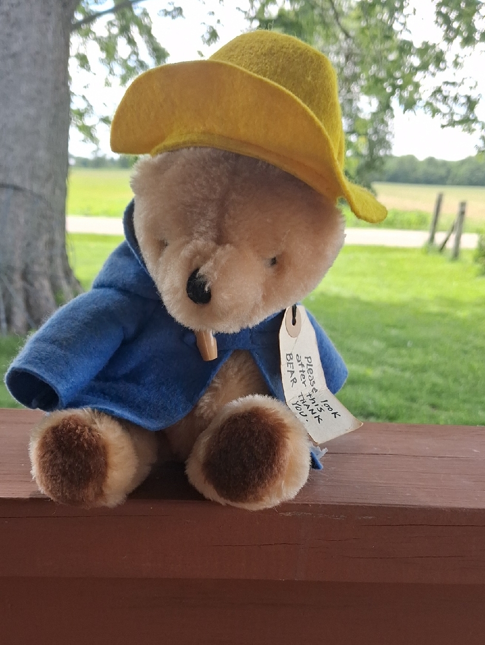 Plush Teddy Bear in Blue Coat and Yellow Hat